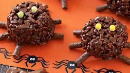 letterbox_Creepy-crawlies-593x426.webp