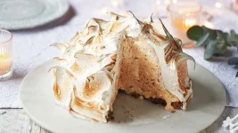 Christmas Cake Baked Alaska