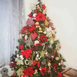 20201220-0001.webp