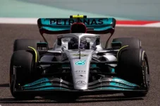 merc1.webp