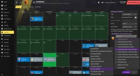 Arrange Friendly Football Manager 2021.jpg