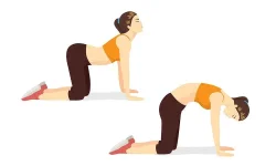 Dynamic Stretching Exercises