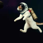 A photo of a cat flying out to space as an astronaut, digital art (3).webp