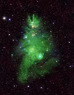 nasa_xmas_tree.webp