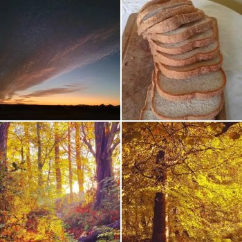 A Photo A Day