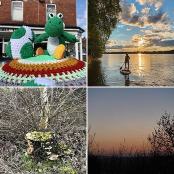 Photo Competition: March 2024