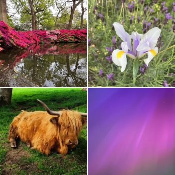 Photo Competition: May 2024
