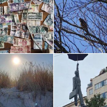 Photo Competition: May 2025