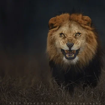 1651355986561.png