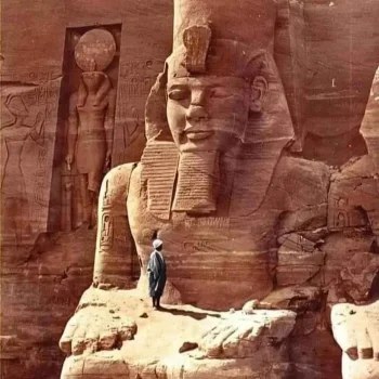 ramsesii.jpg