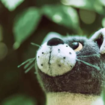 A vintage felt plushie cat in a garden looks with curiosity at something above, macro photogra...jpg