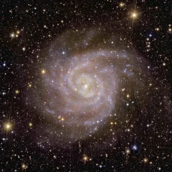 euclid-0003.jpg