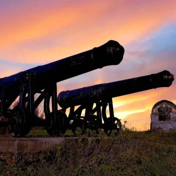 cannon.jpg