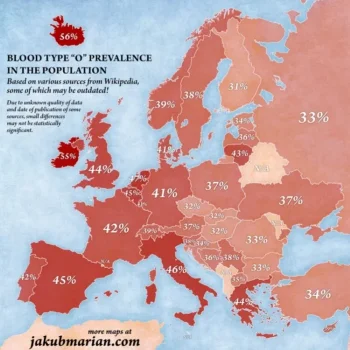 1749063518182.webp