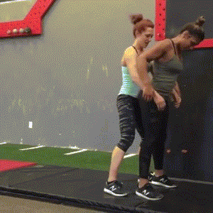 ztwist.gif