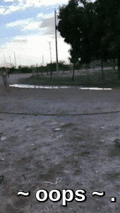 zoops.gif